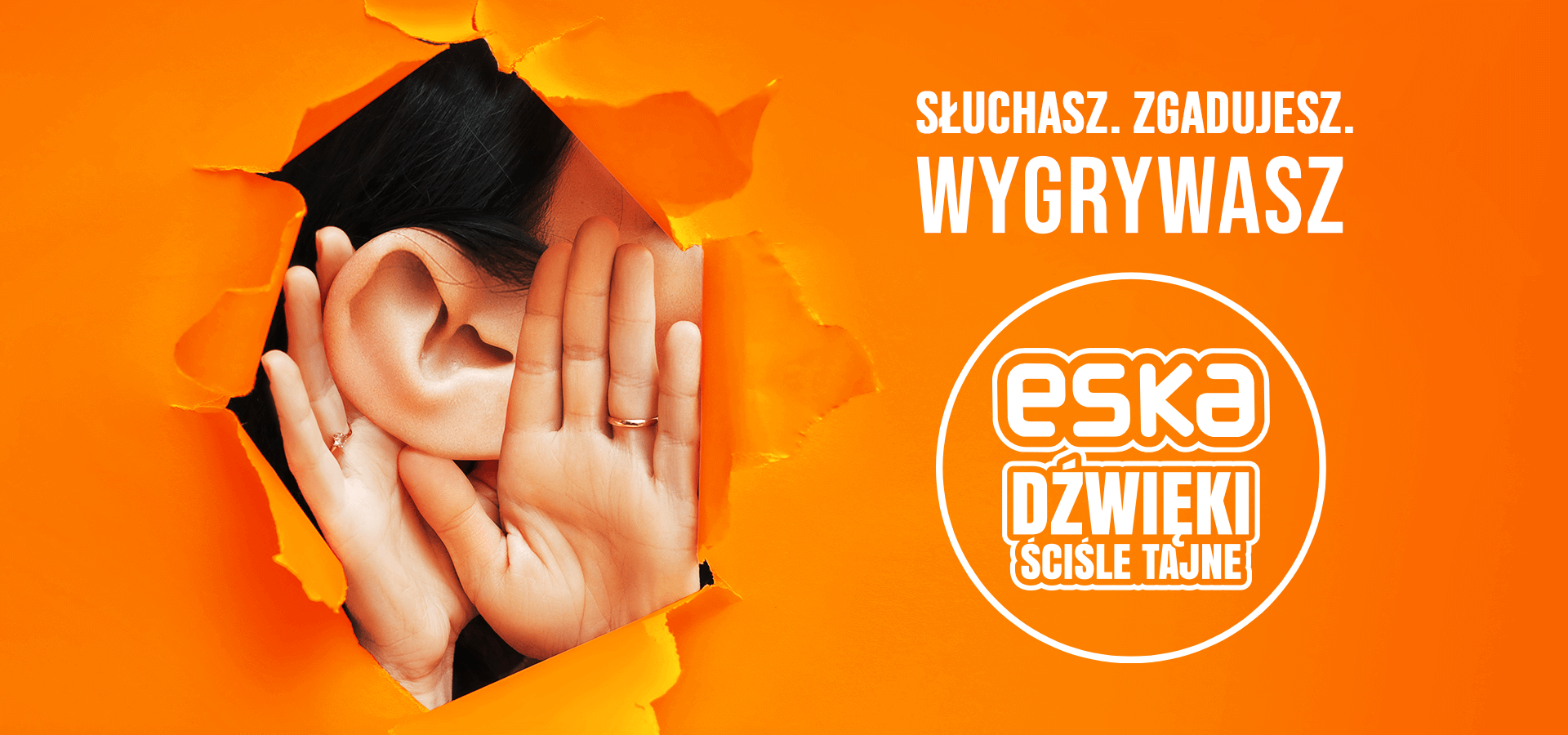 dzwieki-intro